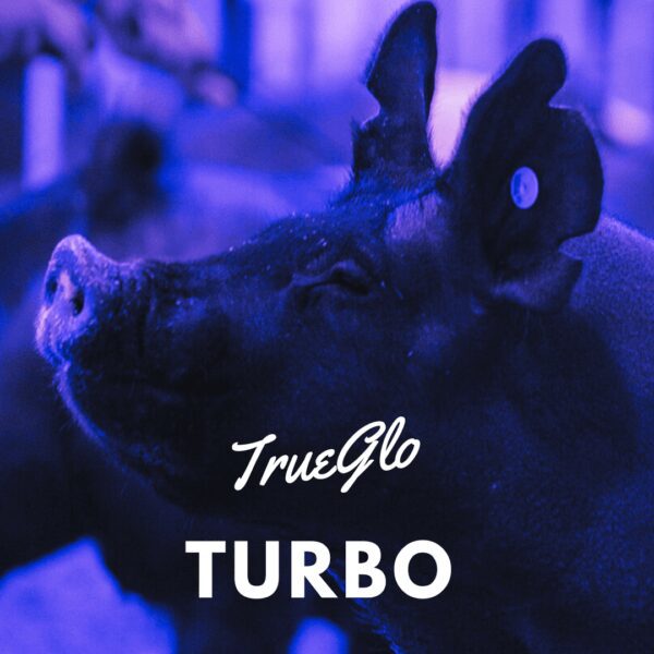TrueGlo Turbo