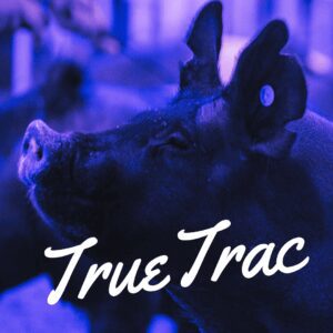 TrueTrac Joint Supplement for Show Pigs