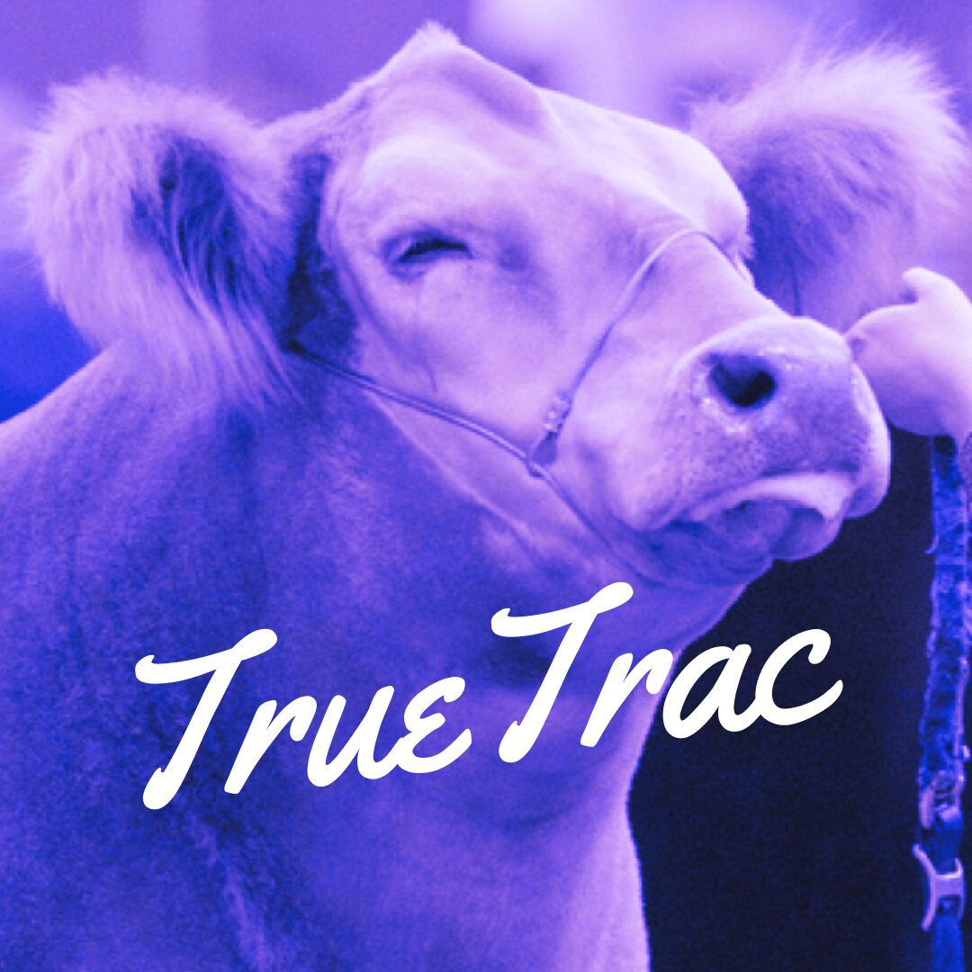 TrueTrac Cattle joint supplement