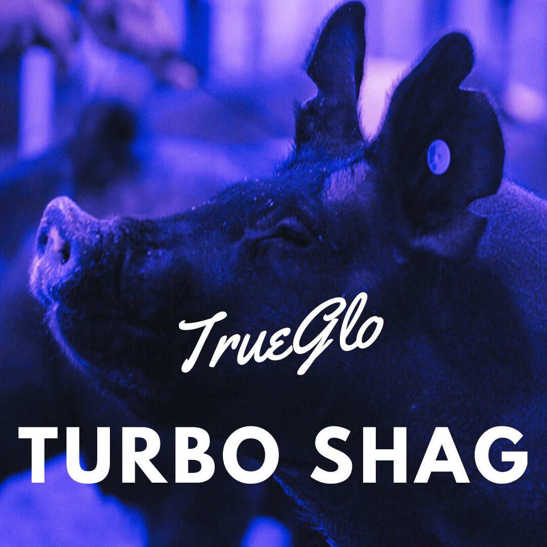 TrueGlo Turbo Shag
