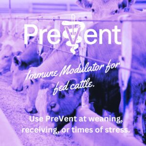 PreVent Immune Modulator for Fed Cattle