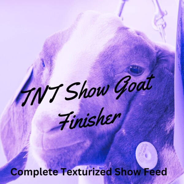 TNT Show Goat Finisher