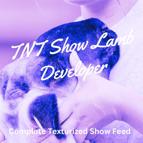 TNT Show Lamb Developer
