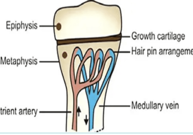 Screen Shot 2022-06-19 at 9.00.41 AM