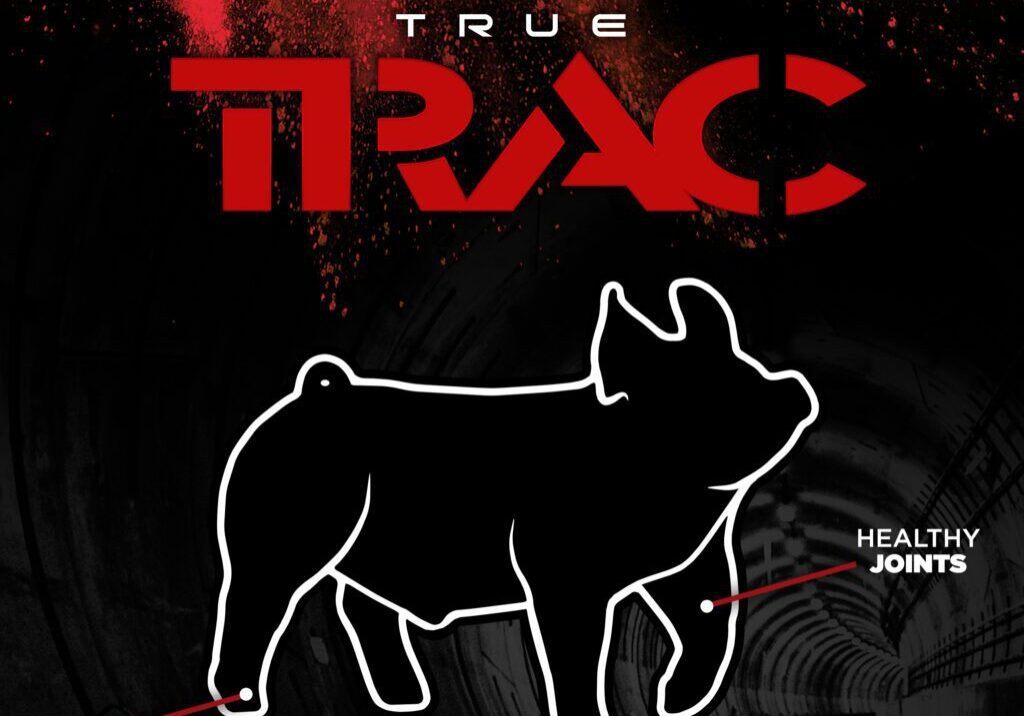 TrueTrac-Website-ProductGraphic